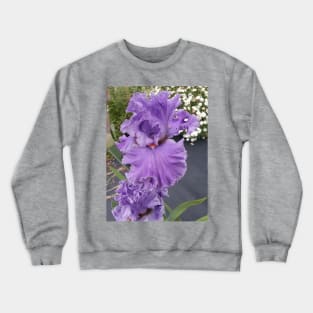 Iris Flower Lavender Purple Crewneck Sweatshirt